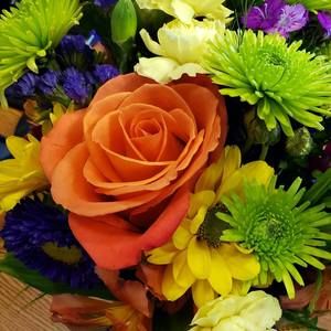 Meet your Posher, Kelly